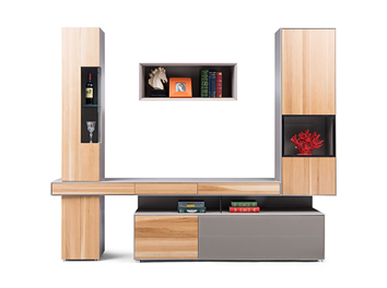 QX-3001 combination cabinet